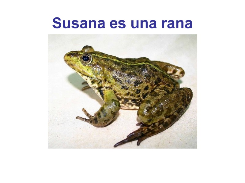 Susana es una rana